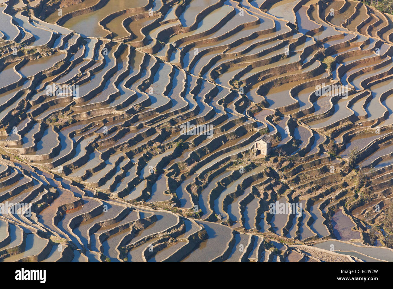 Reflections off water filled rice terraces, Yuanyang County, Honghe, Yunnan Province, China Stock Photo