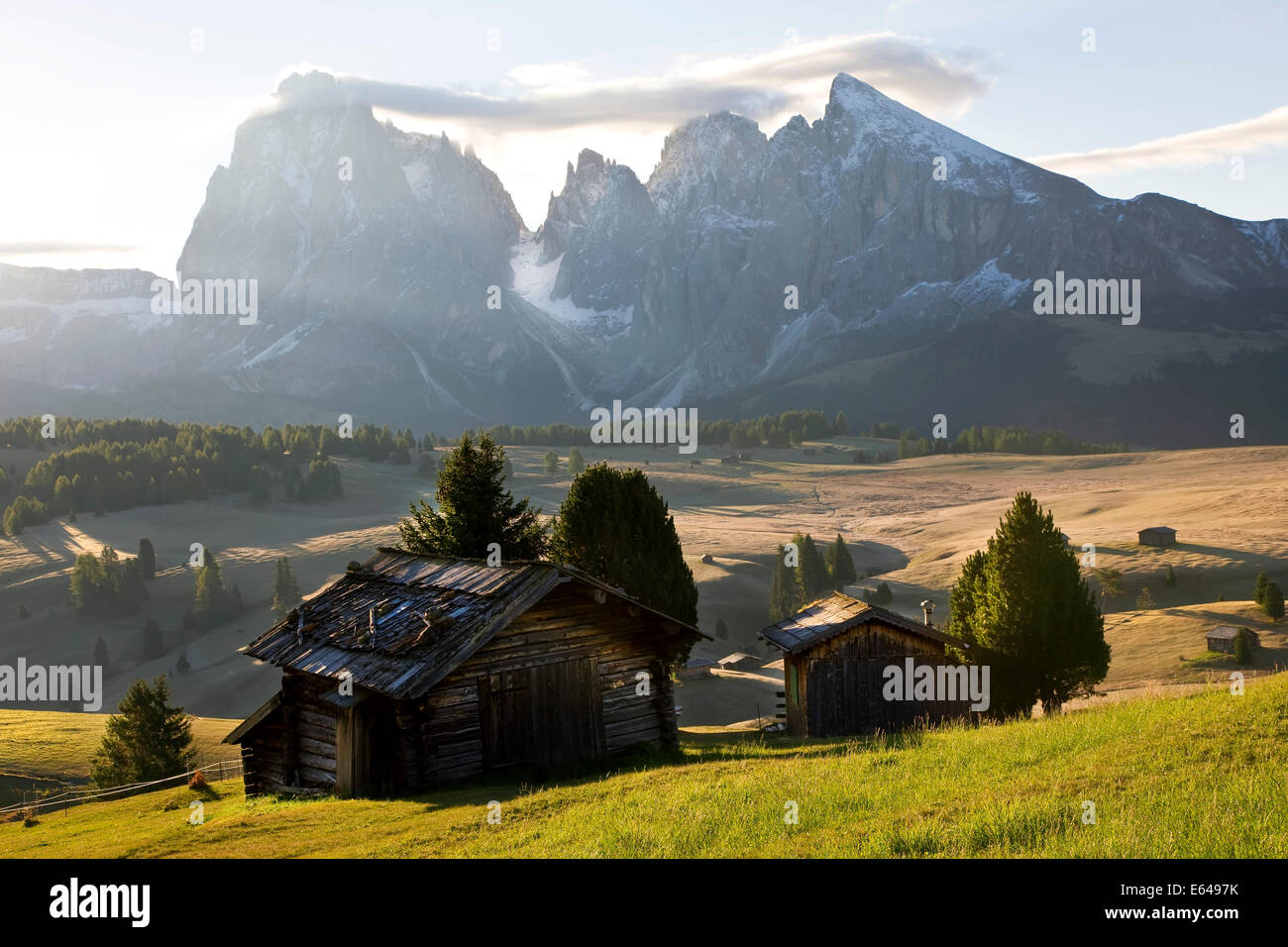 Mountain cabins Italy Italia Trentino-Alto Adige South Tyrol Bolzano district Alpe di Siusi Seiser Alm Sassolungo (Langkofel) Stock Photo