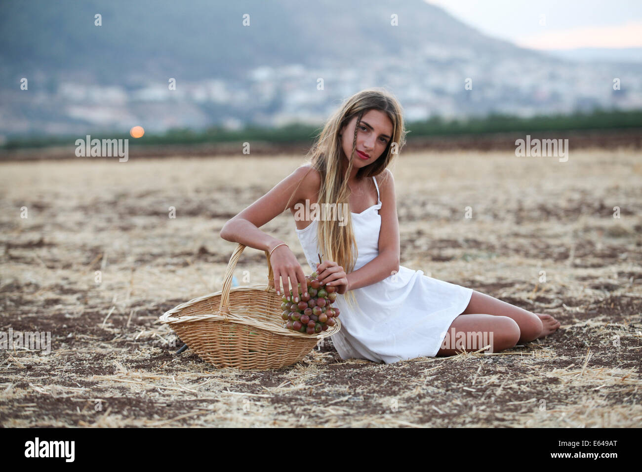 Young teen girl during harvest Model release available Stock Photo