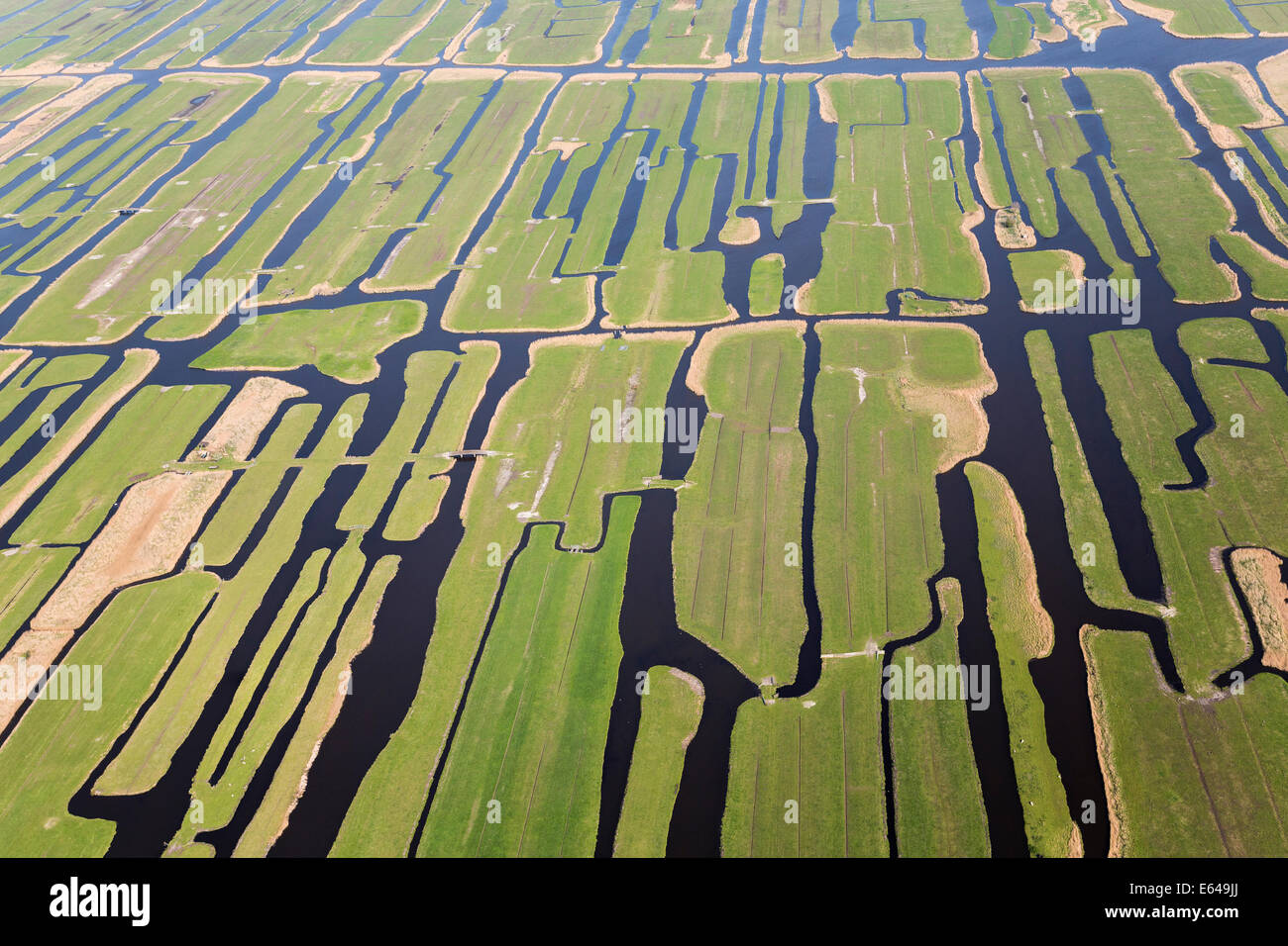 Polder or re-claimed lands, North Holland, Netherlands Stock Photo