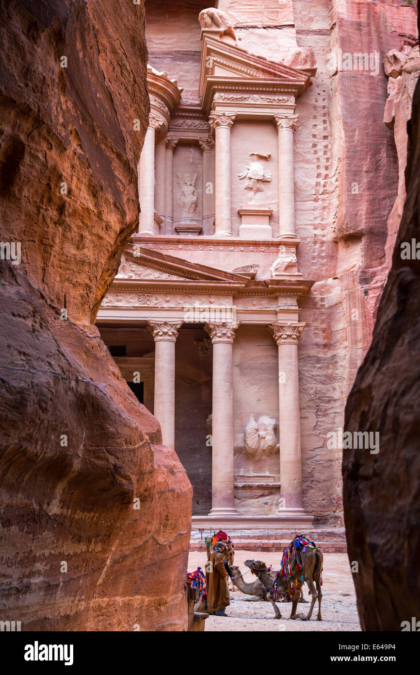 Camels at The Treasury, Petra, Jordan Stock Photo