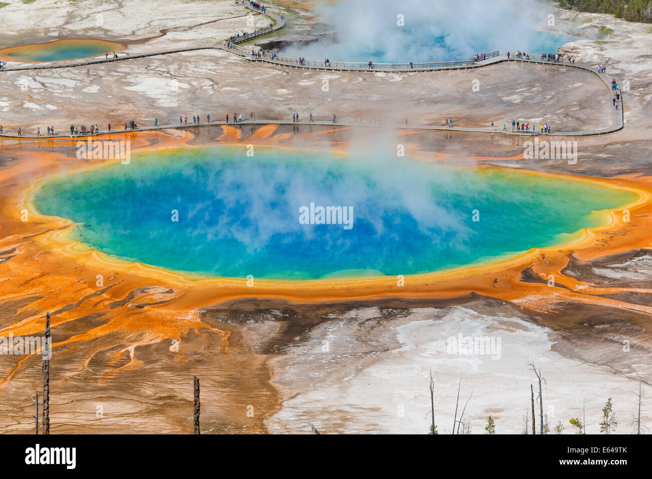 Grand Prismatic Spring, Midway Geyser Basin, Yellowstone National Park, Wyoming, USA Stock Photo