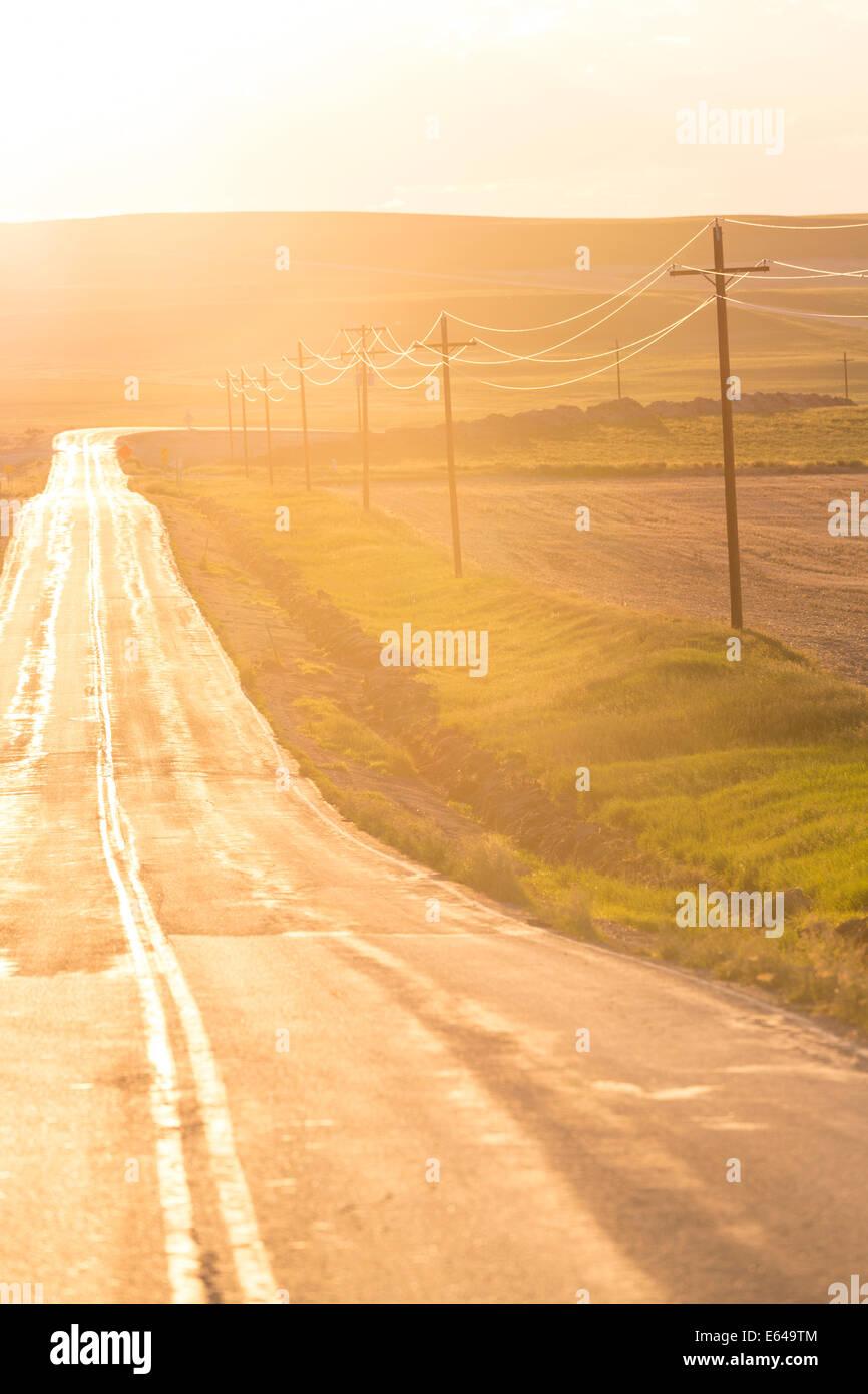 Open road at sunset, Montana, USA Stock Photo