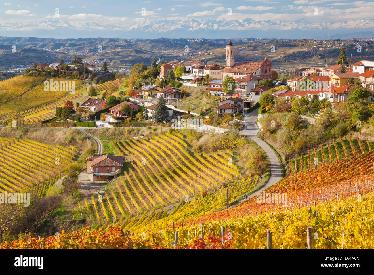 Vineyards, Treiso, nr Alba, Langhe, Piedmont (or Piemonte or Piedmonte), Italy Stock Photo