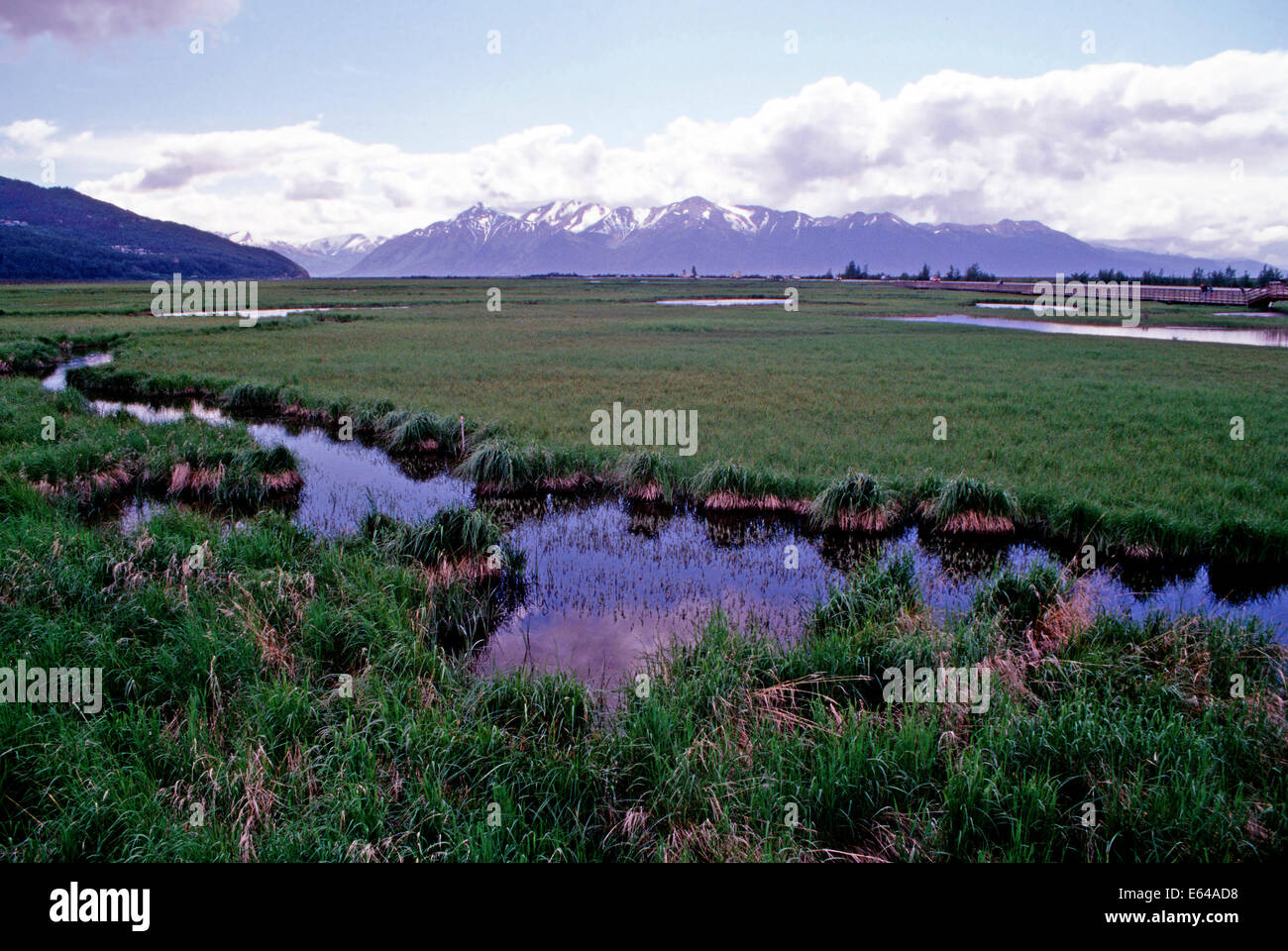 Potter marsh hires stock photography and images Alamy