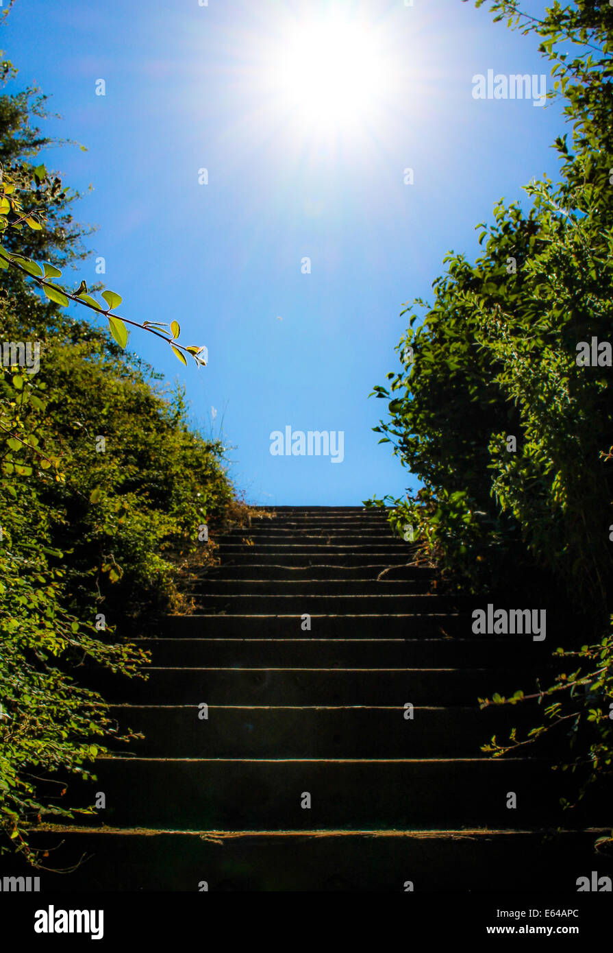 Stairway to the Light . Stock Photo