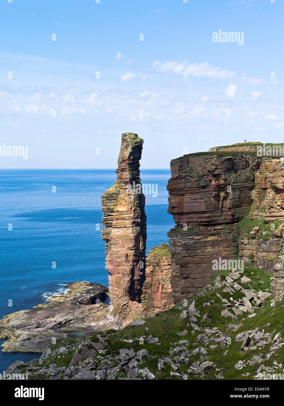 dh Old Man of Hoy HOY ORKNEY cliffs red sandstone sea stack seacliffs atlantic coast cliff scotland stacks Stock Photo