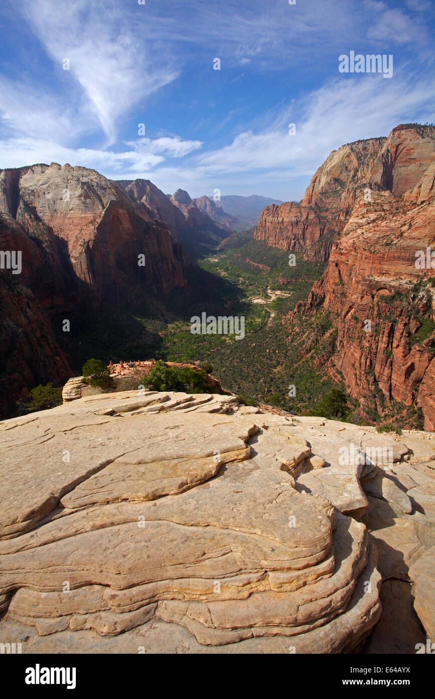 Looking down on Zion Canyon, Virgin River and Zion Canyon Scenic Drive, from the top of Angel's Landing, Zion National Park, Uta Stock Photo