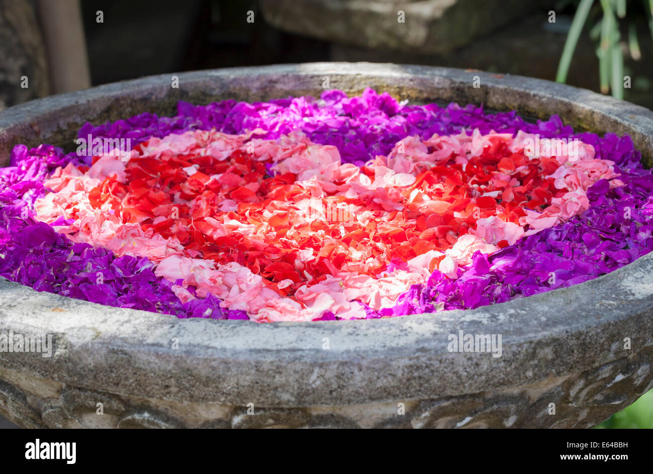 Delicate heart shaped arrangement of petals floating in a basin of water, Bali, Indonesia Stock Photo