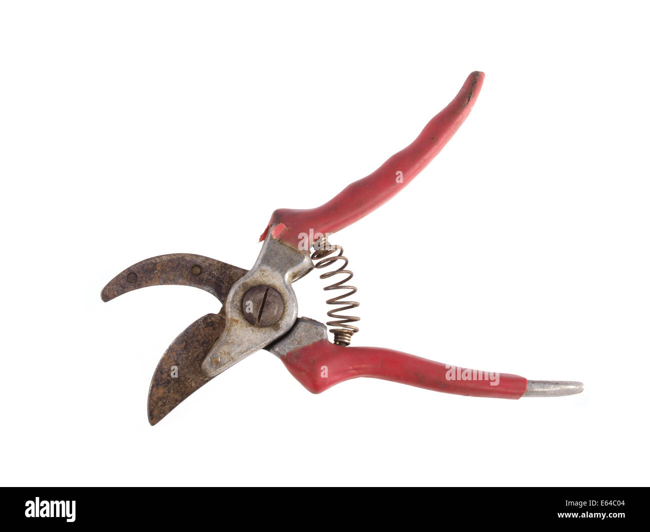 Close up photo of secateurs on a white background. Stock Photo