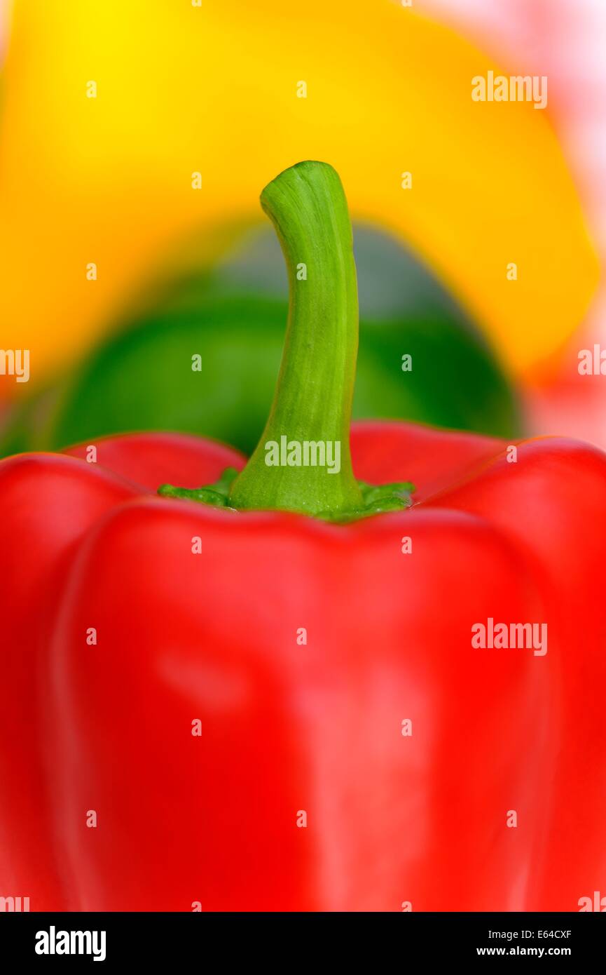 Red, yellow and green bell pepper Stock Photo