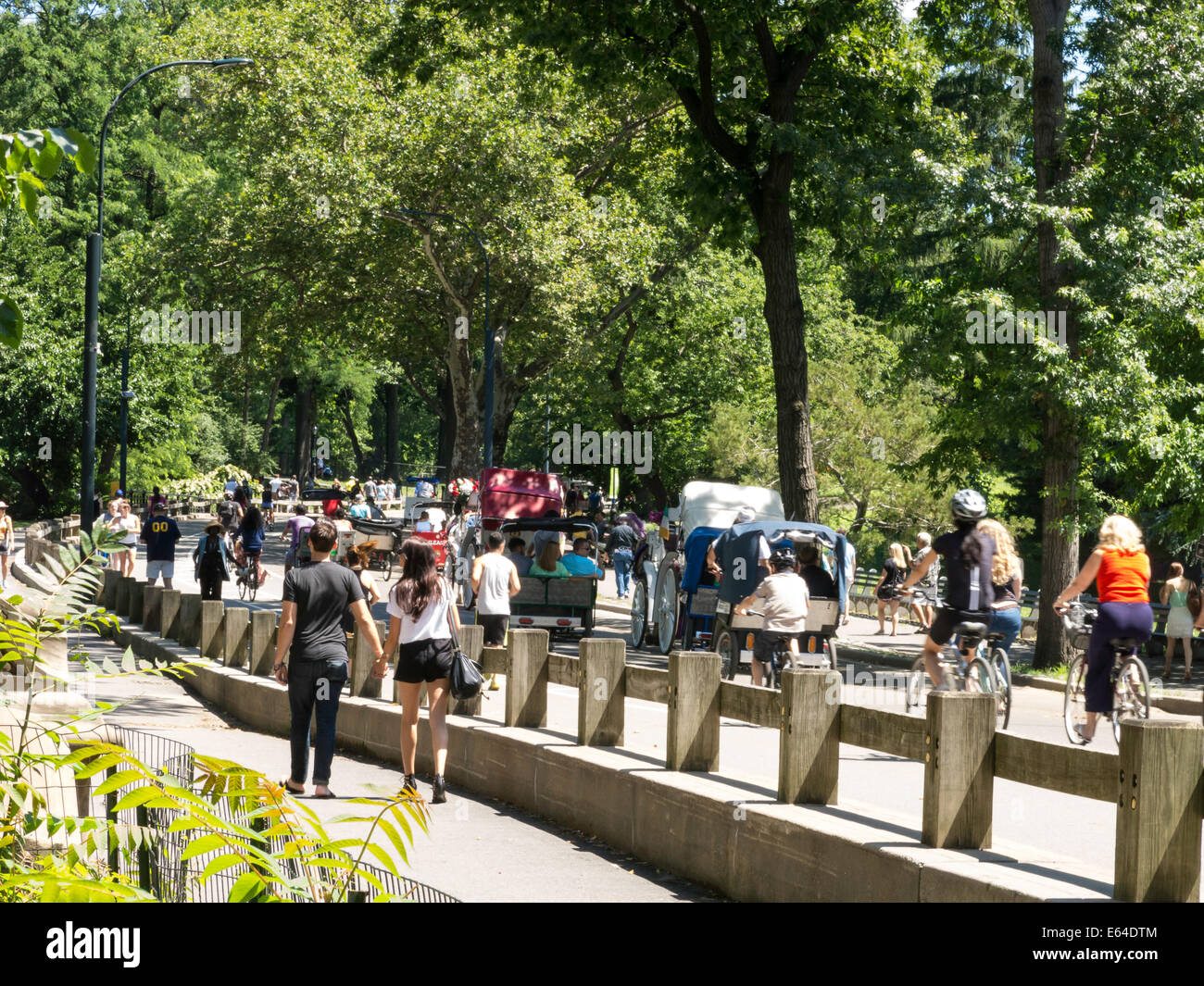 Recreational Activity, East Drive, Central Park, NYC Stock Photo