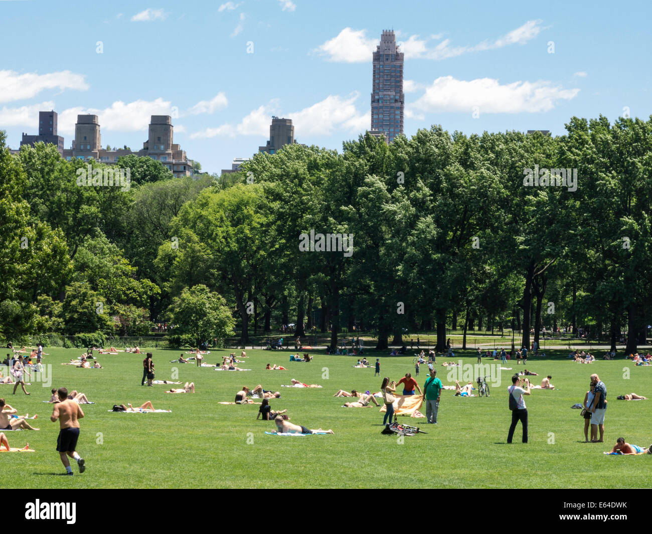 The Sheep Meadow with Skyline in background, Central Park, NYC Stock ...