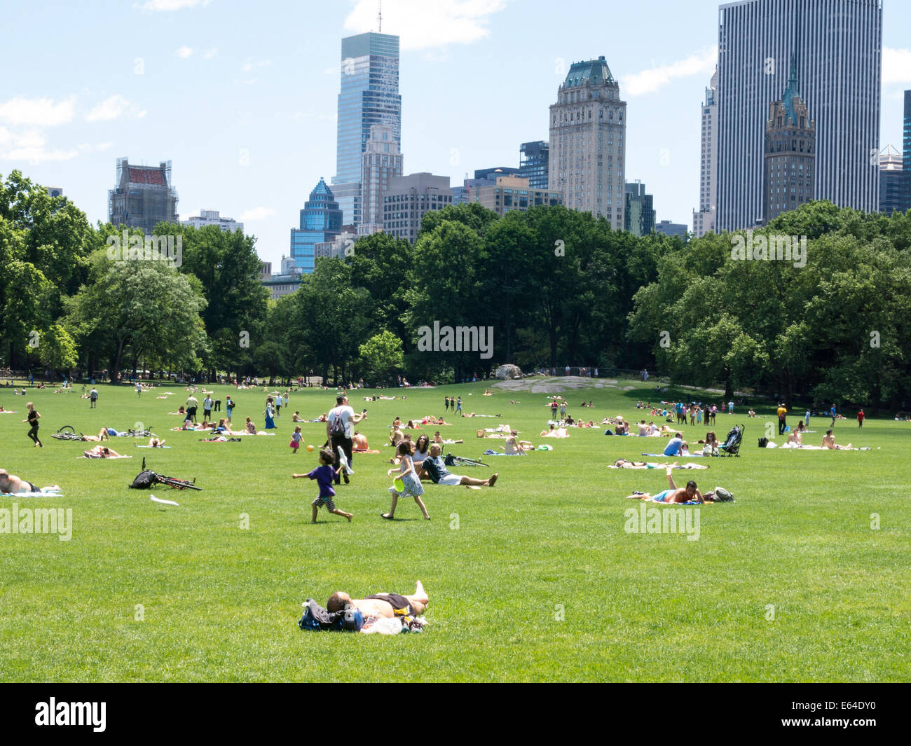 The Sheep Meadow with Skyline in background, Central Park, NYC Stock ...