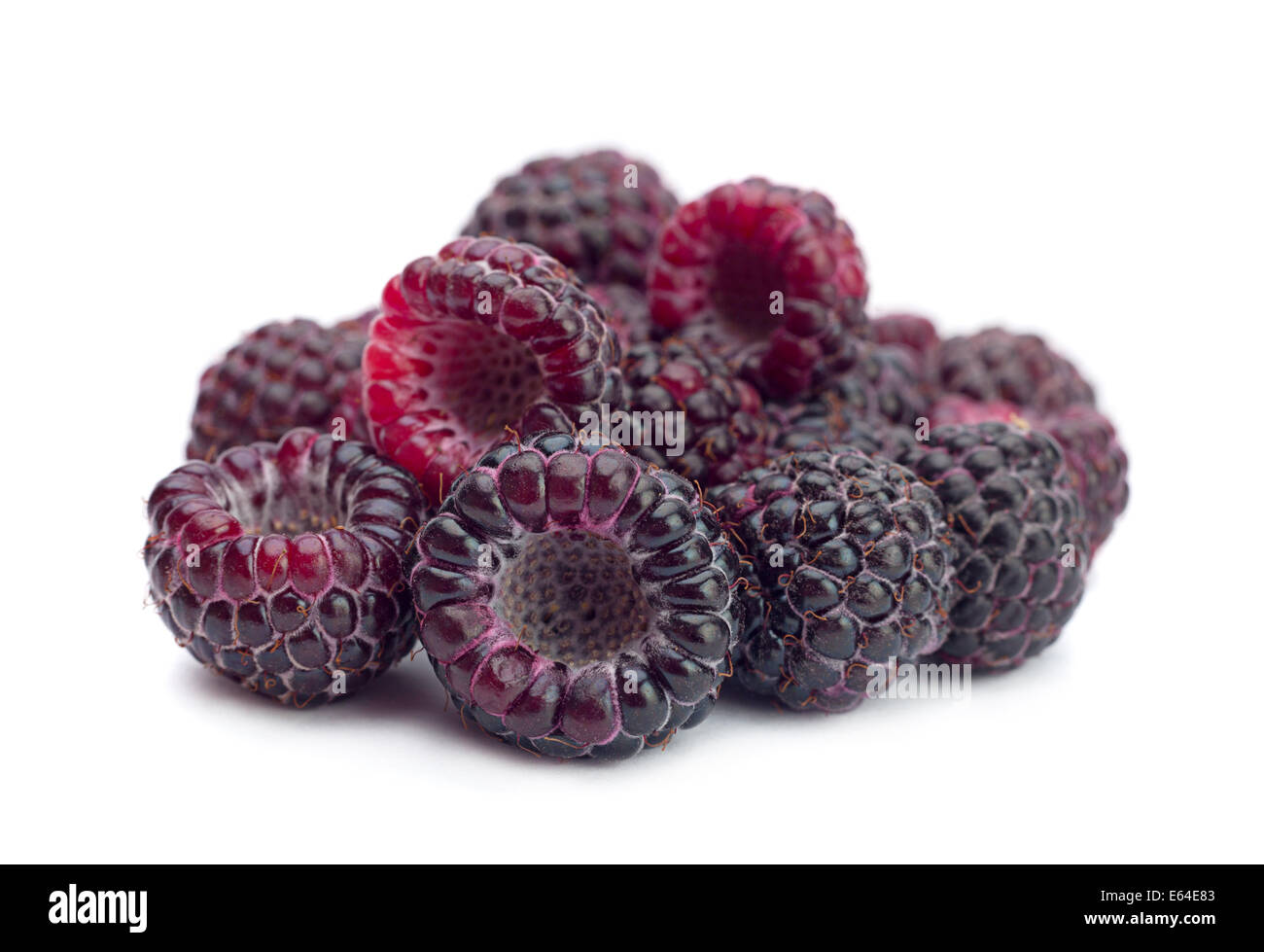 Cumberland black raspberry berry hi-res stock photography and images ...