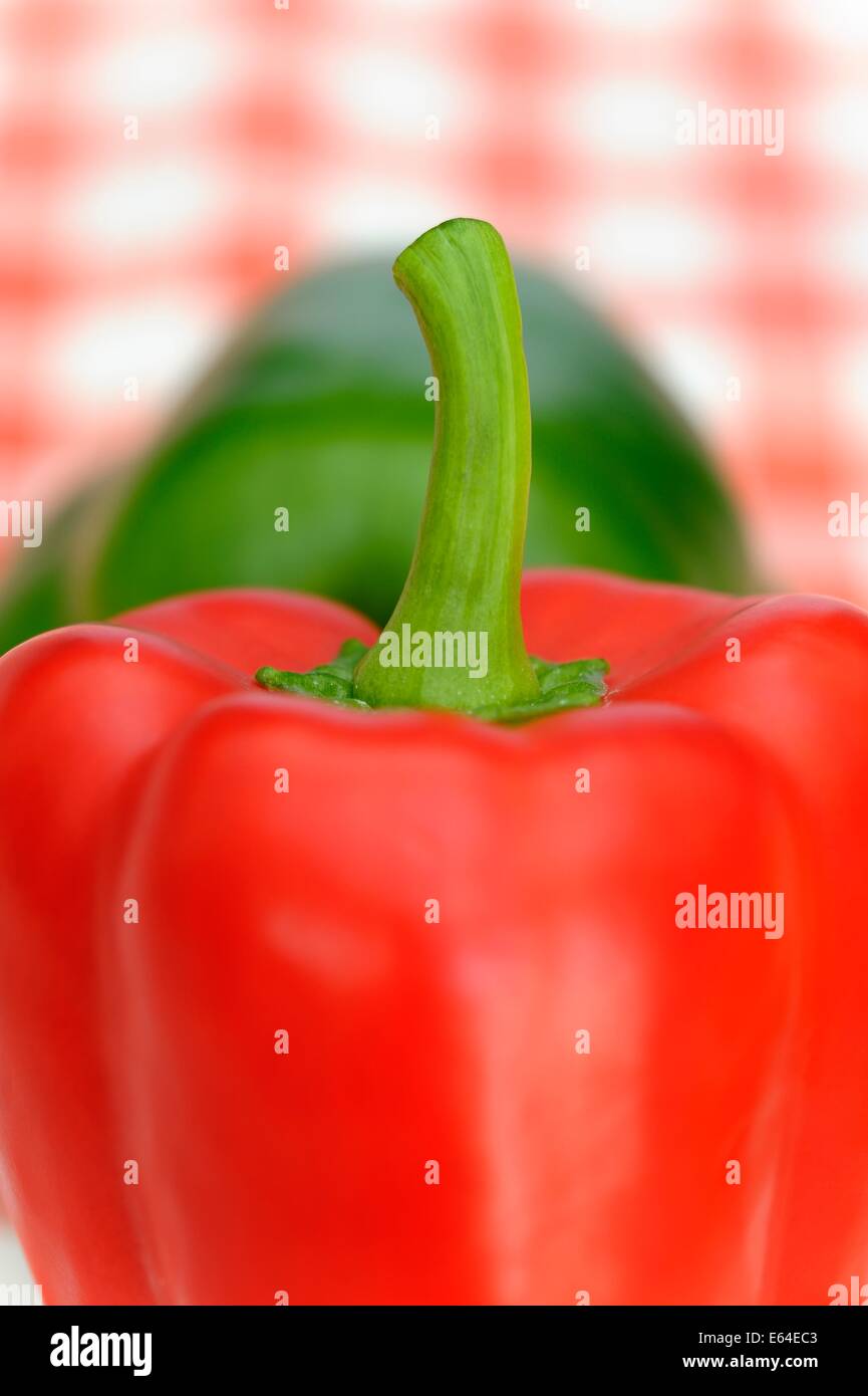 Red and green bell pepper Stock Photo