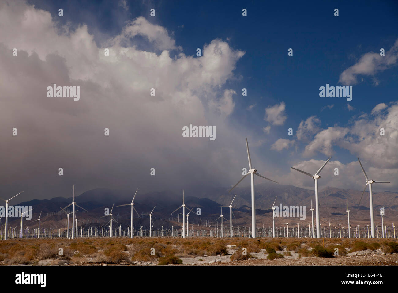 Wind Energy Windmills near Palm Springs, California, United States of America, USA Stock Photo