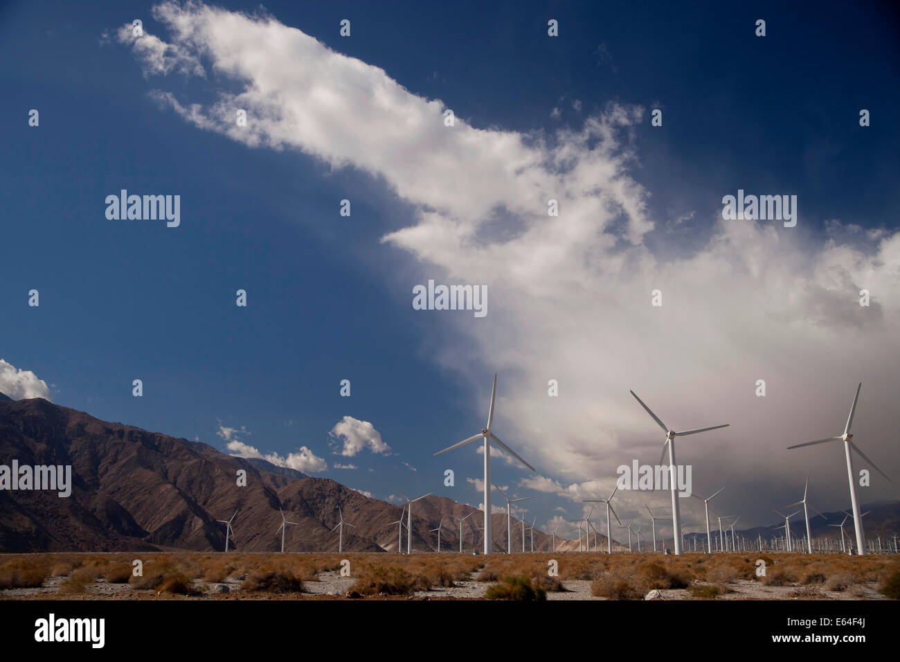 Wind Energy Windmills near Palm Springs, California, United States of America, USA Stock Photo