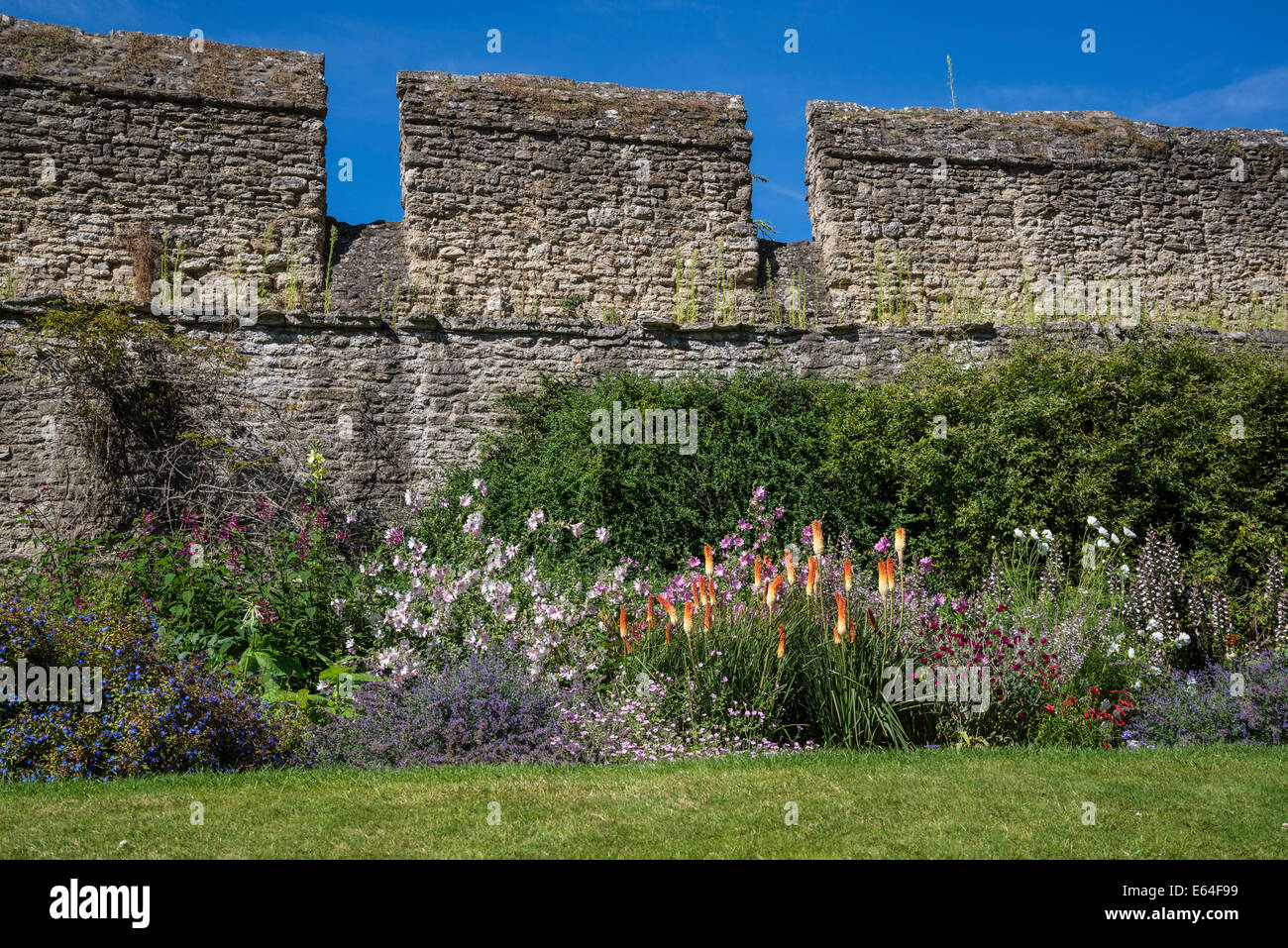 Gardens with City Wall and herbaceous border, New College, Oxford, England, UK Stock Photo