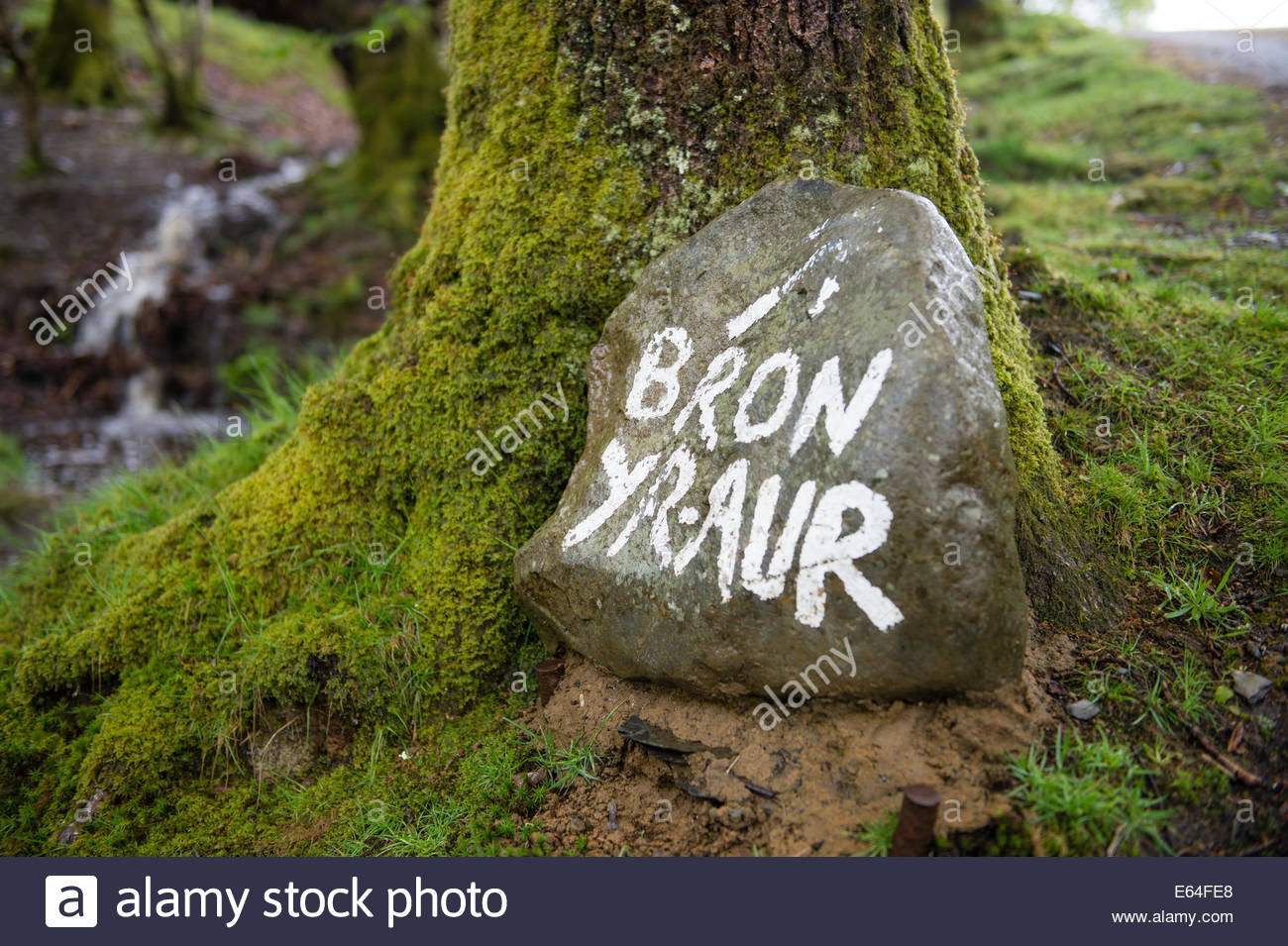 Bron Yr Aur In Snowdonia National Park Where Legendary Rock Band
