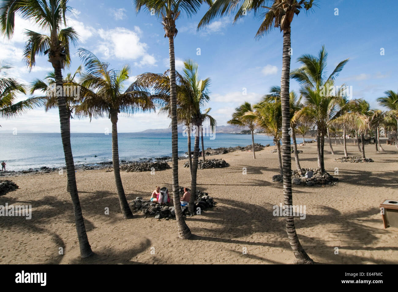 palm tree trees on sandy beach lanzarote canary islands island canaries Arrecife Stock Photo