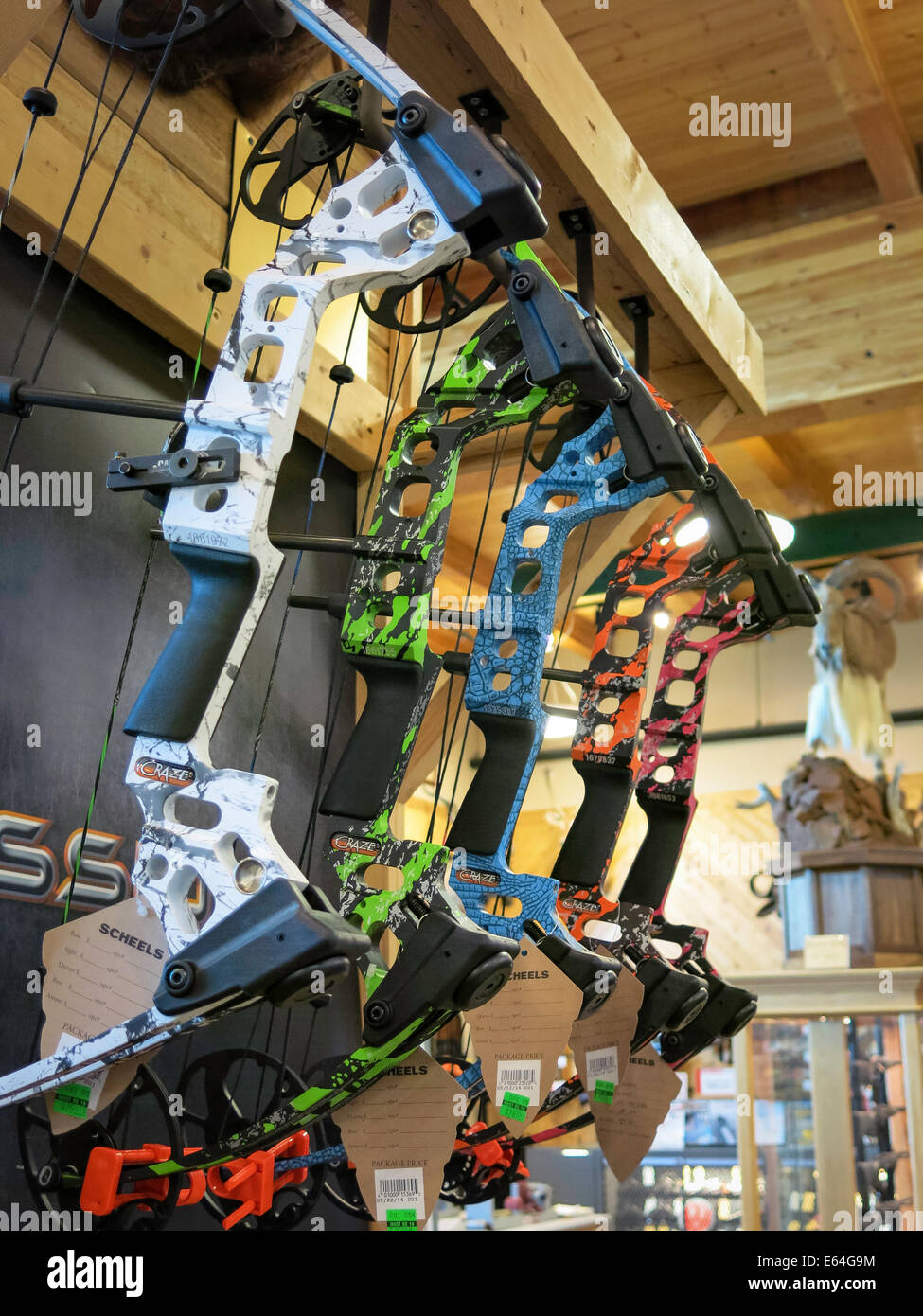 Composite Hunting Bows, Scheels Sporting Goods Store, Great Falls, Montana, USA Stock Photo