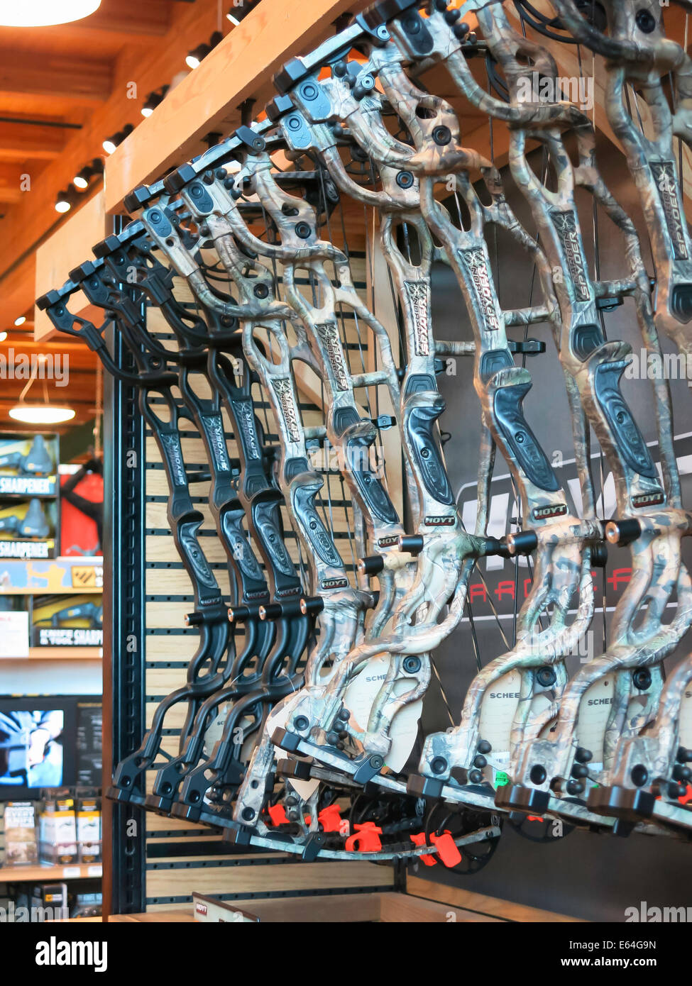Composite Hunting Bows, Scheels Sporting Goods Store, Great Falls, Montana, USA Stock Photo