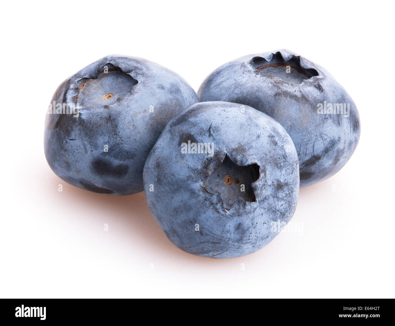 blueberry isolated Stock Photo