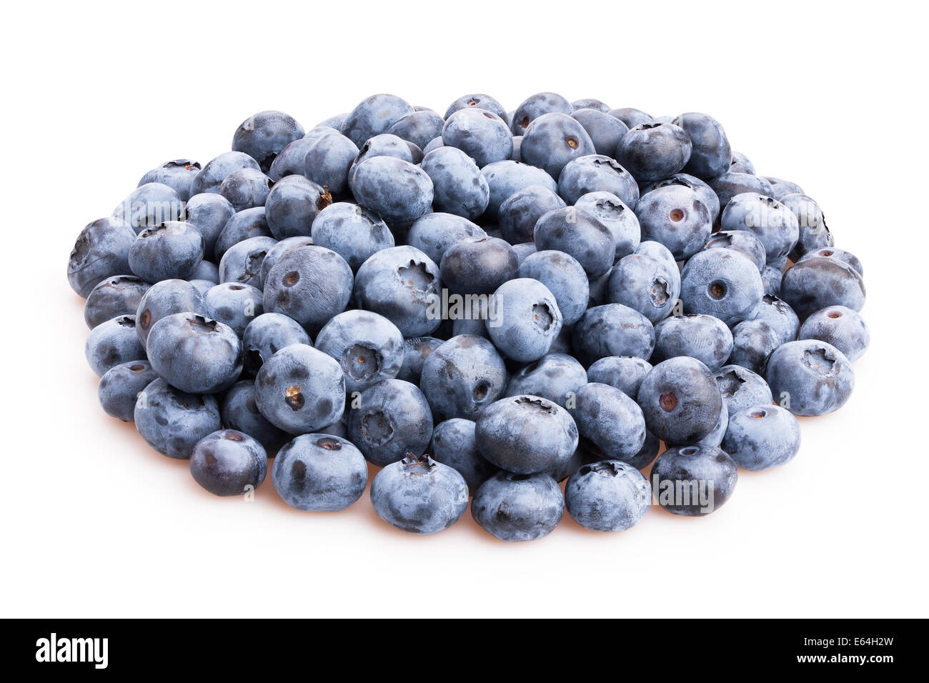blueberry isolated Stock Photo