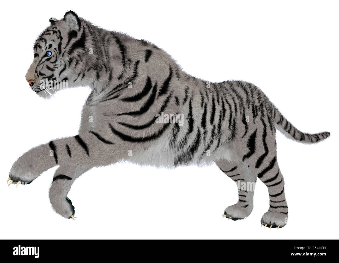 3D digital render of a running white tiger isolated on white background Stock Photo