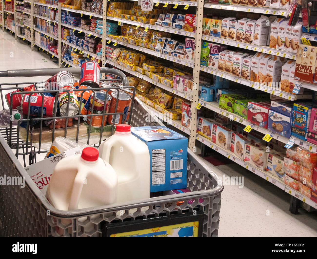 Filled Grocery Cart in Aisle, Smith's Grocery Store, Great Falls, Montana, USA Stock Photo