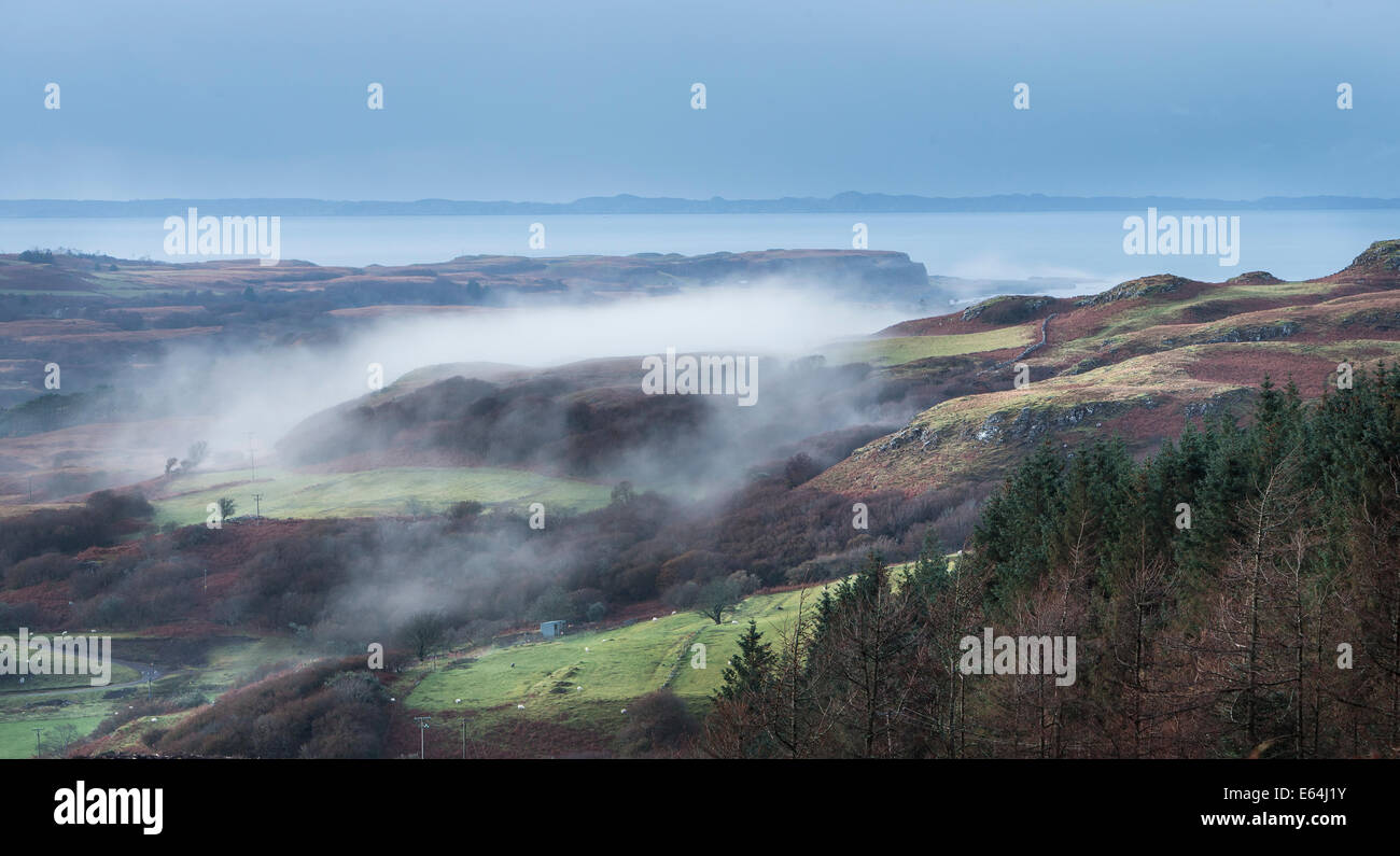 View from Quinish forest on the Isle of Mull in Scotland. Stock Photo