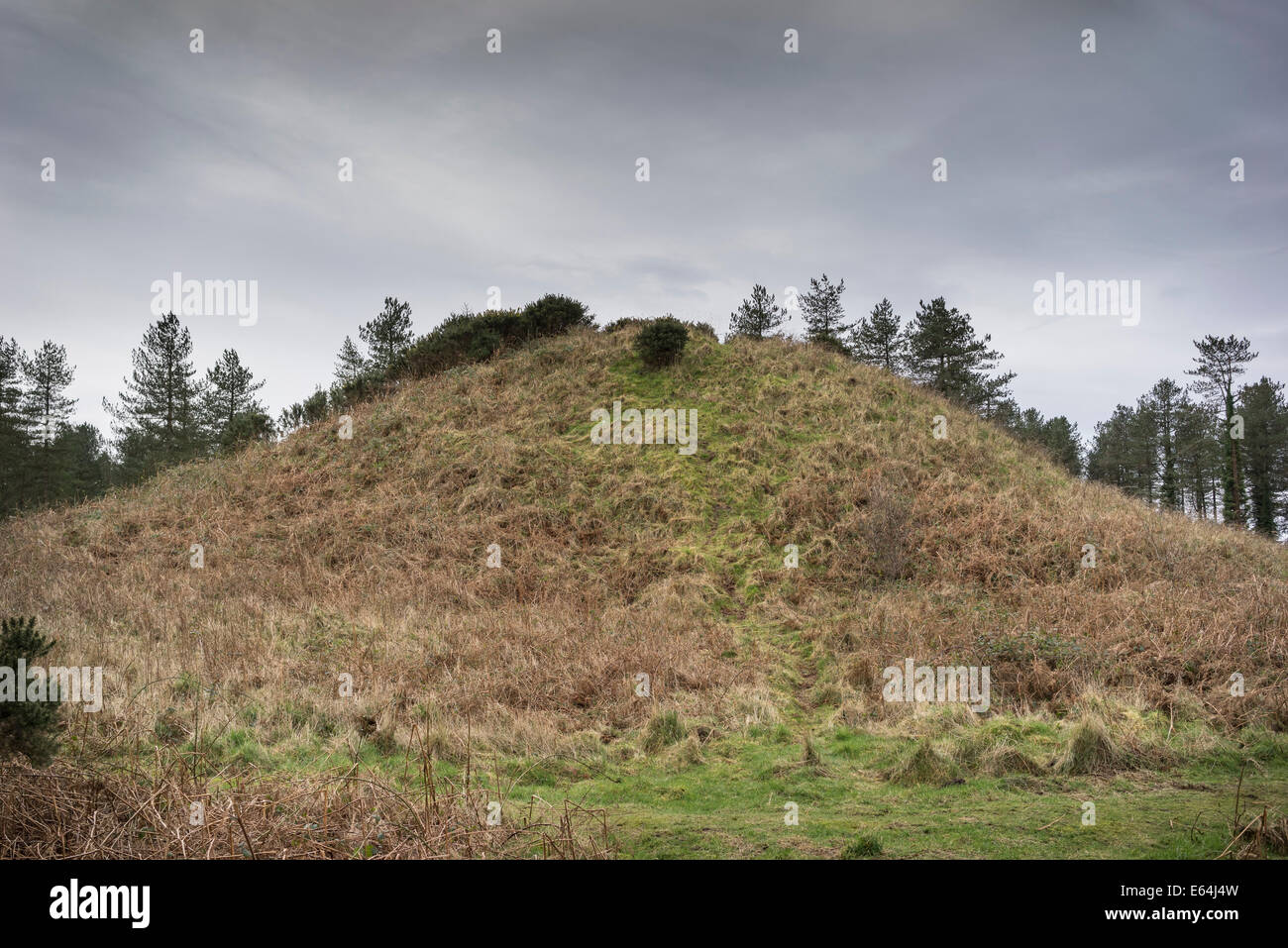 Droughdool ( Drochduil) a Neolithic mound at Dunragit in Dumfries & Galloway, Scotland. Stock Photo