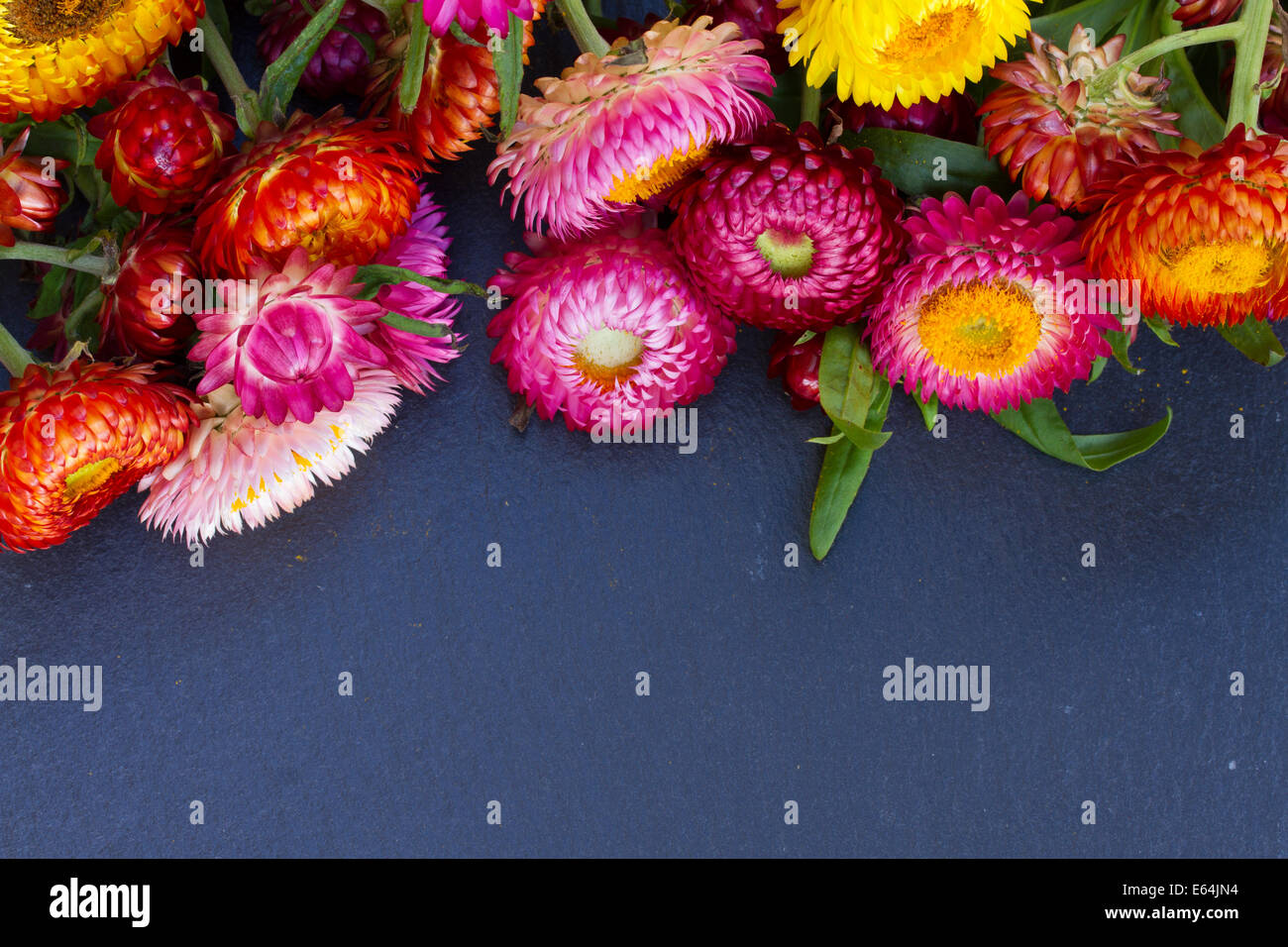 Everlasting flower posy hires stock photography and images Alamy