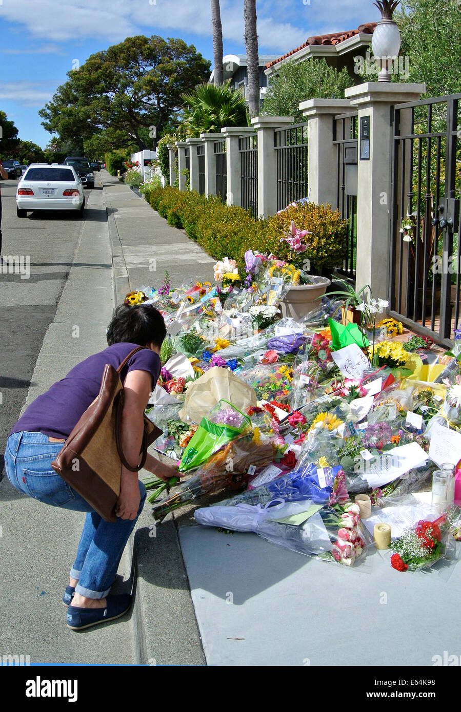 Tiburon, California. 13th Aug, 2014. Woman places bouquet of flowers on Sidewalk of Robin Williams home in Tiburon.  Hundreds of fans, neighbors and friends are leaving  gifts, flowers , cards, and poems daily in front of his home. Credit:  Bob Kreisel/Alamy Live News Stock Photo