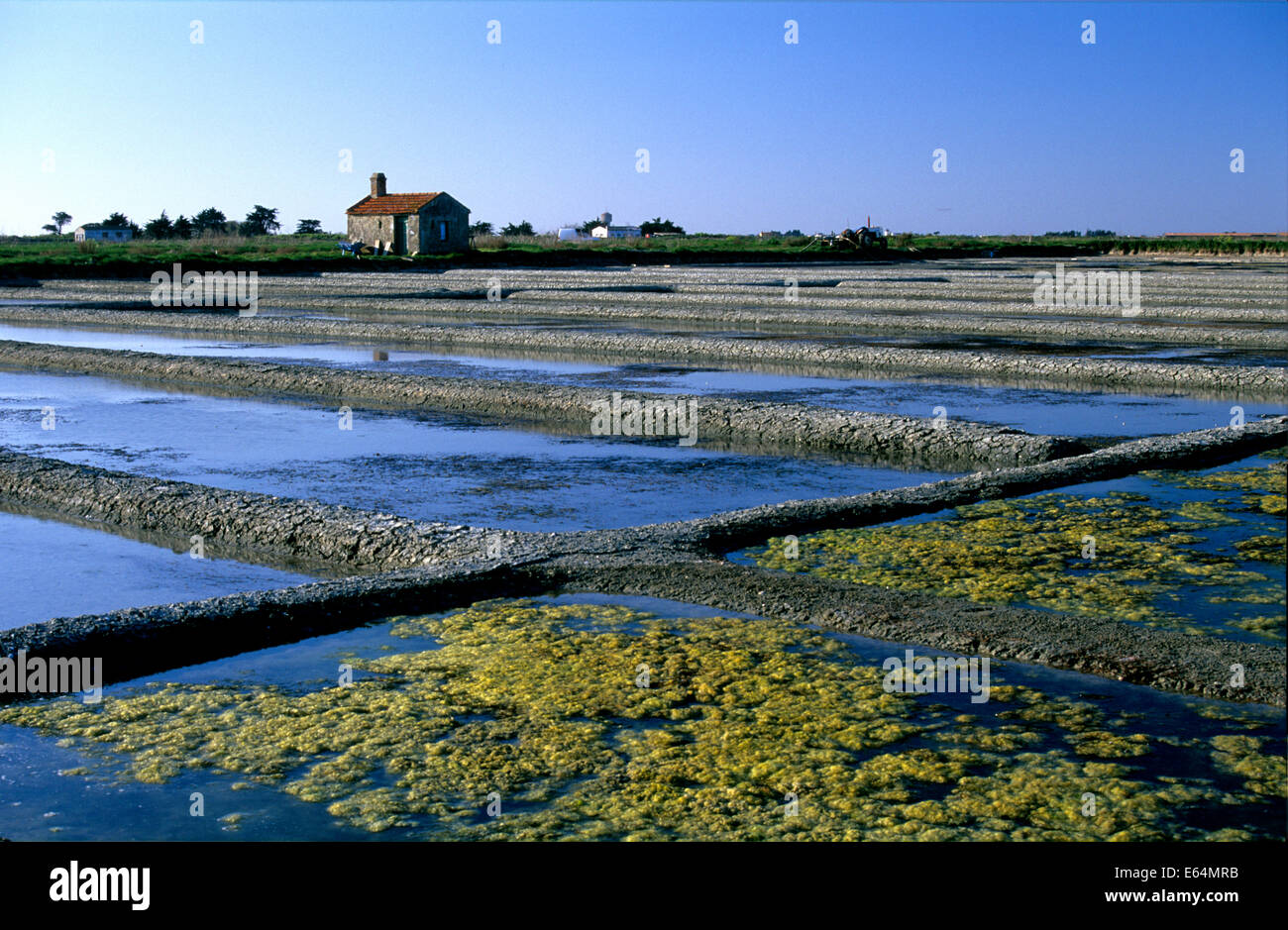 Salt pans near l'Epine, Ile de Noirmoutier, Vendée, France Stock Photo