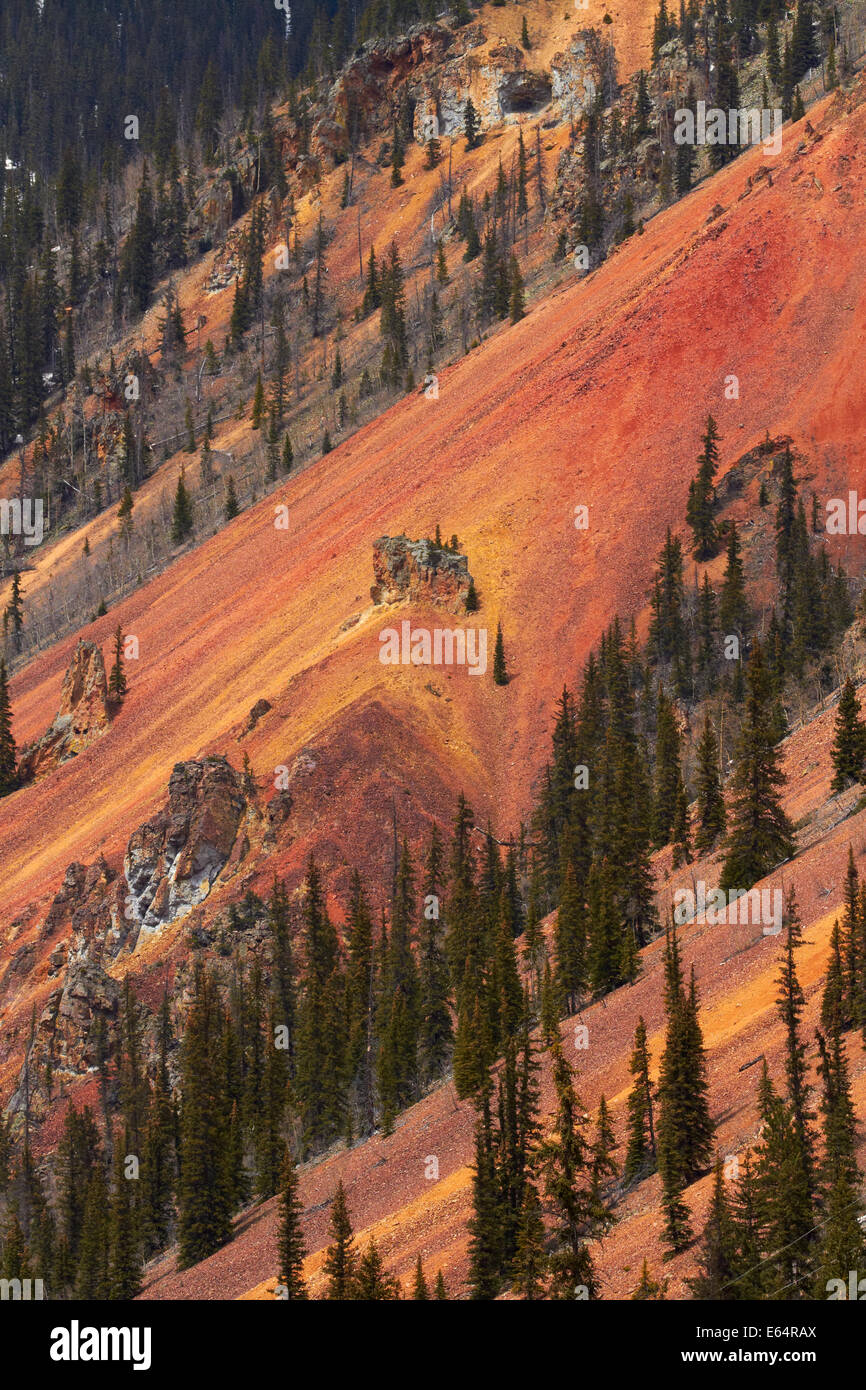Trees, and brown, red and yellow iron oxide colors on the slopes of Anvil Mountain, San Juan Mountains, Colorado, USA Stock Photo
