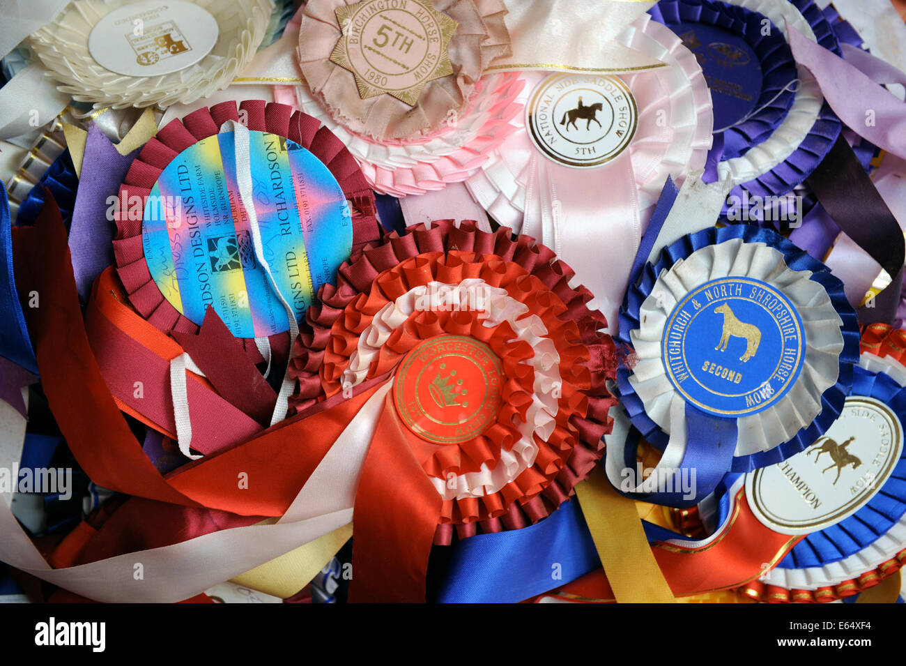 A box of old horse show rosettes in a farmhouse in Dorset UK Stock Photo