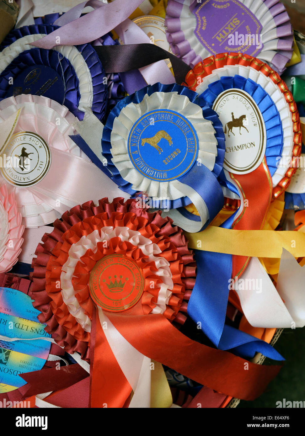 A box of old horse show rosettes in a farmhouse in Dorset UK Stock Photo