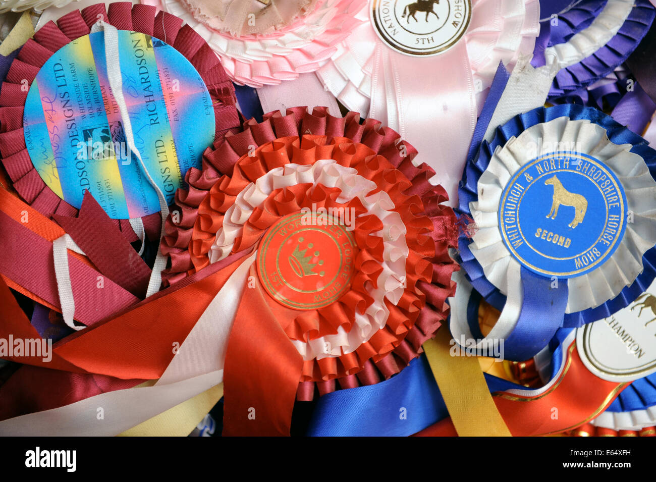 Horse Show Rosettes High Resolution Stock Photography and Images - Alamy