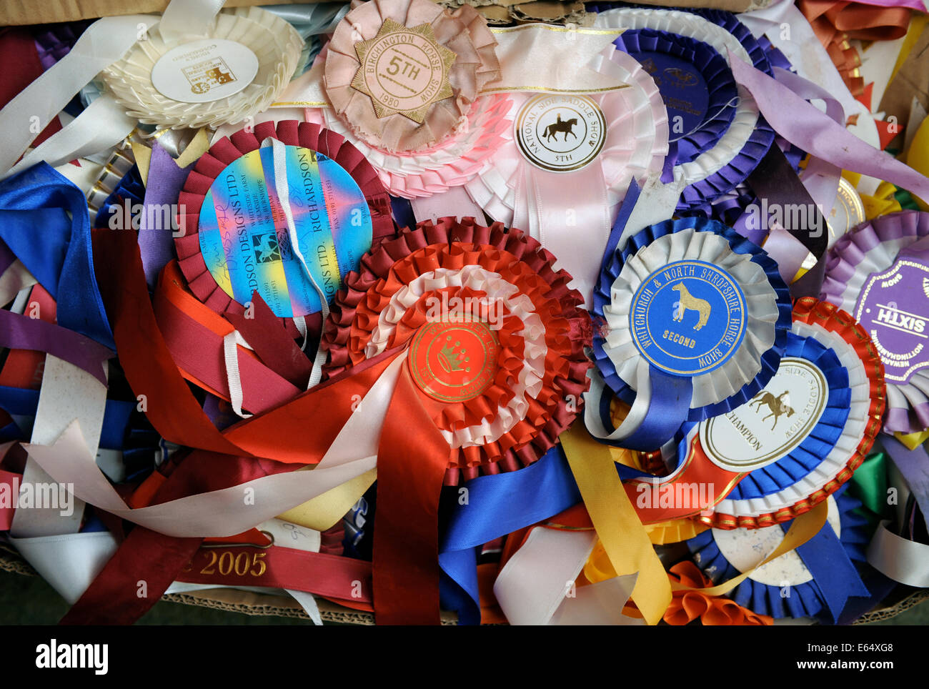 A box of old horse show rosettes in a farmhouse in Dorset UK Stock Photo