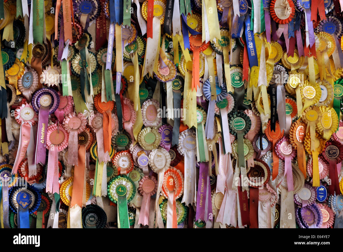 Old horse show rosettes covering the wall of a stable in Dorset UK Stock Photo