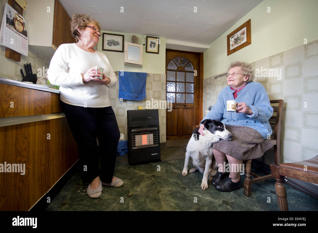 Flooding on the Somerset Levels at Moorland - eighty nine year old Joan Lang at Goddards Farm with her daughter Margaret Lock wh Stock Photo
