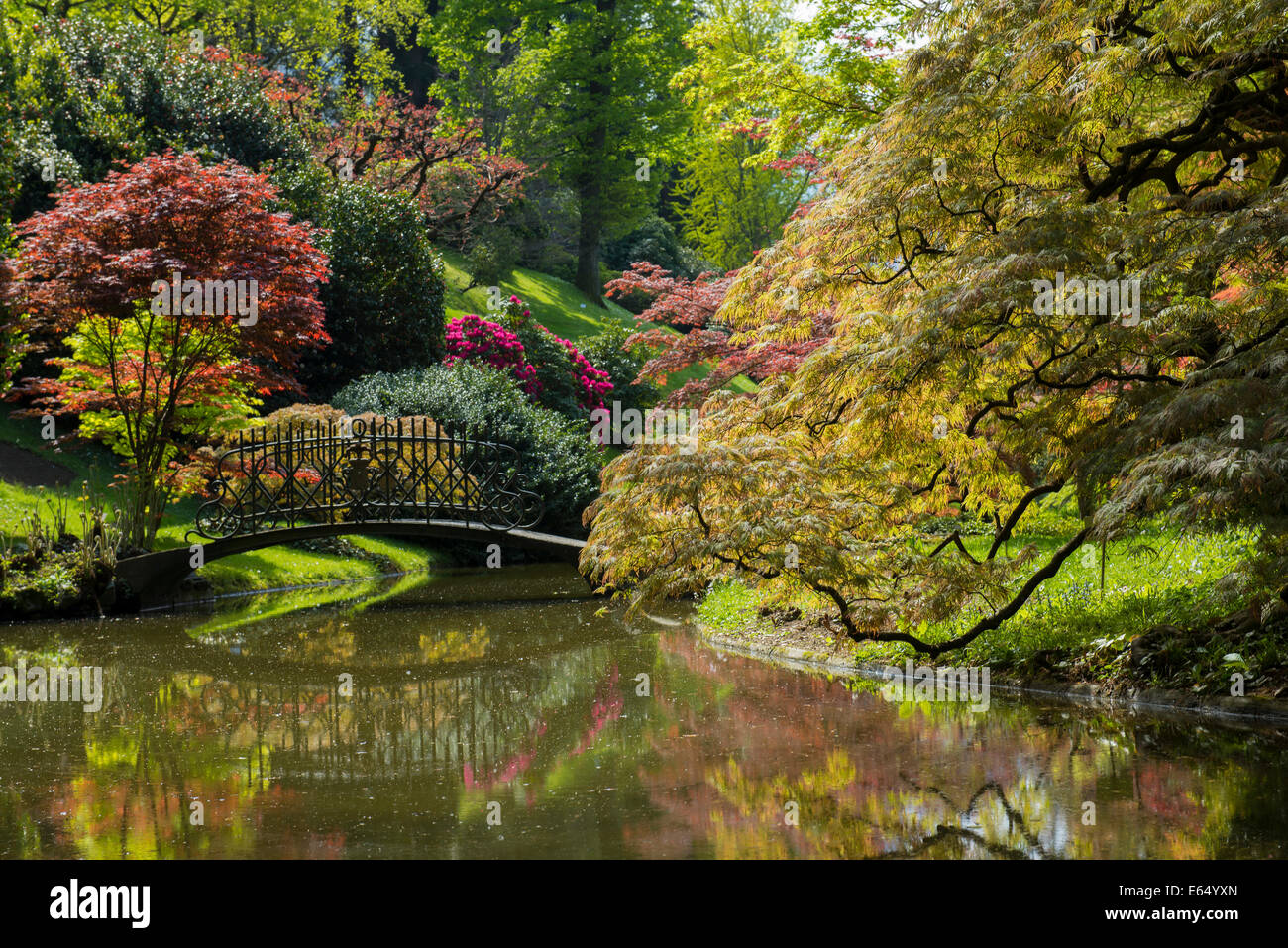 Pond with a bridge in the park of Villa Melzi, Bellagio, Como Province, Lombardy, Italy Stock Photo