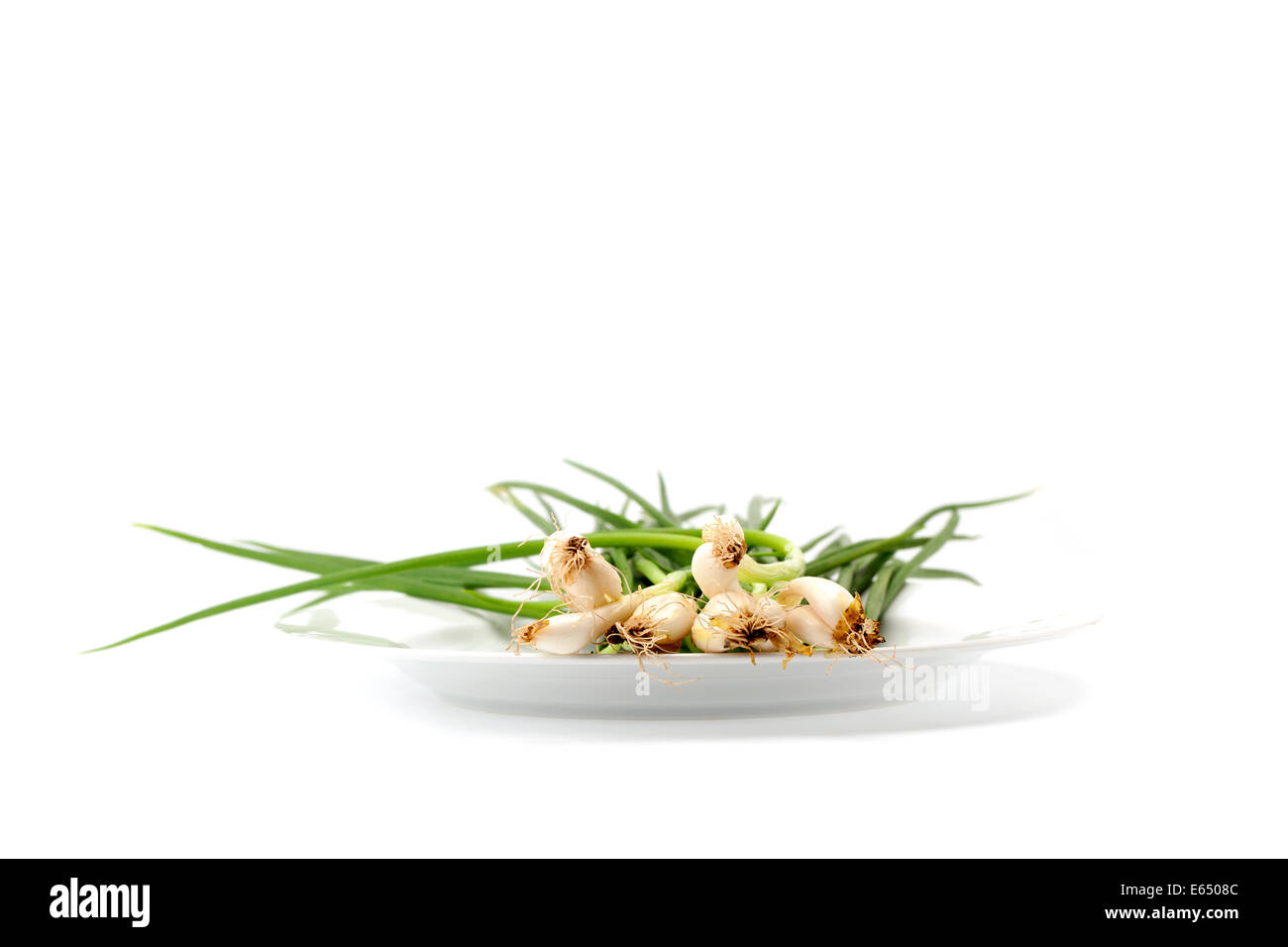 spring onion or chive isolated o white background Stock Photo