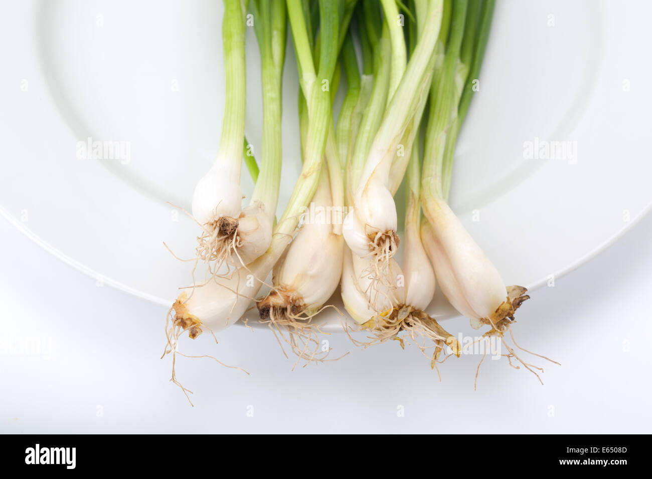 spring onion or chive on white background Stock Photo