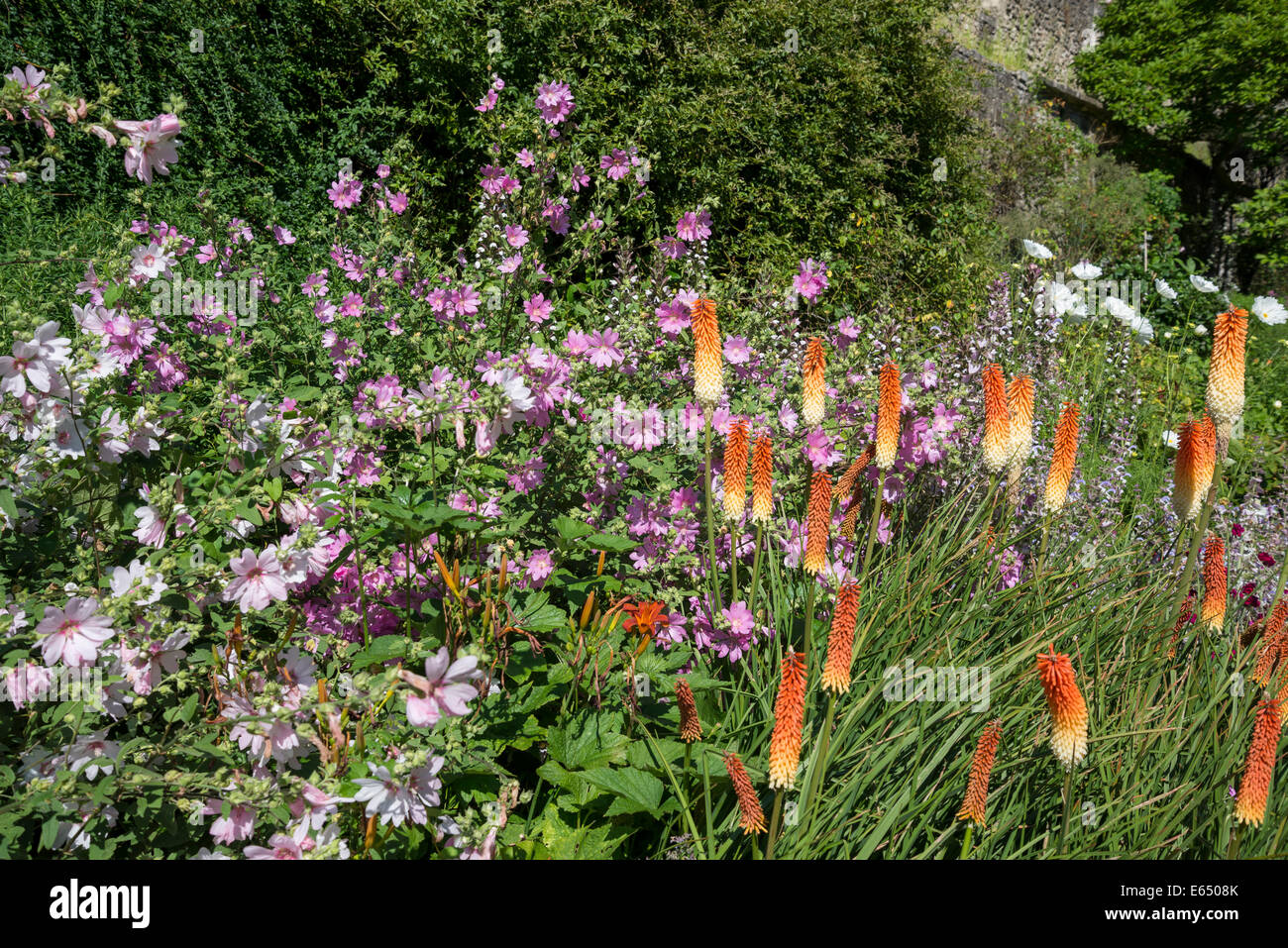 Summer colour flower border hi-res stock photography and images - Alamy