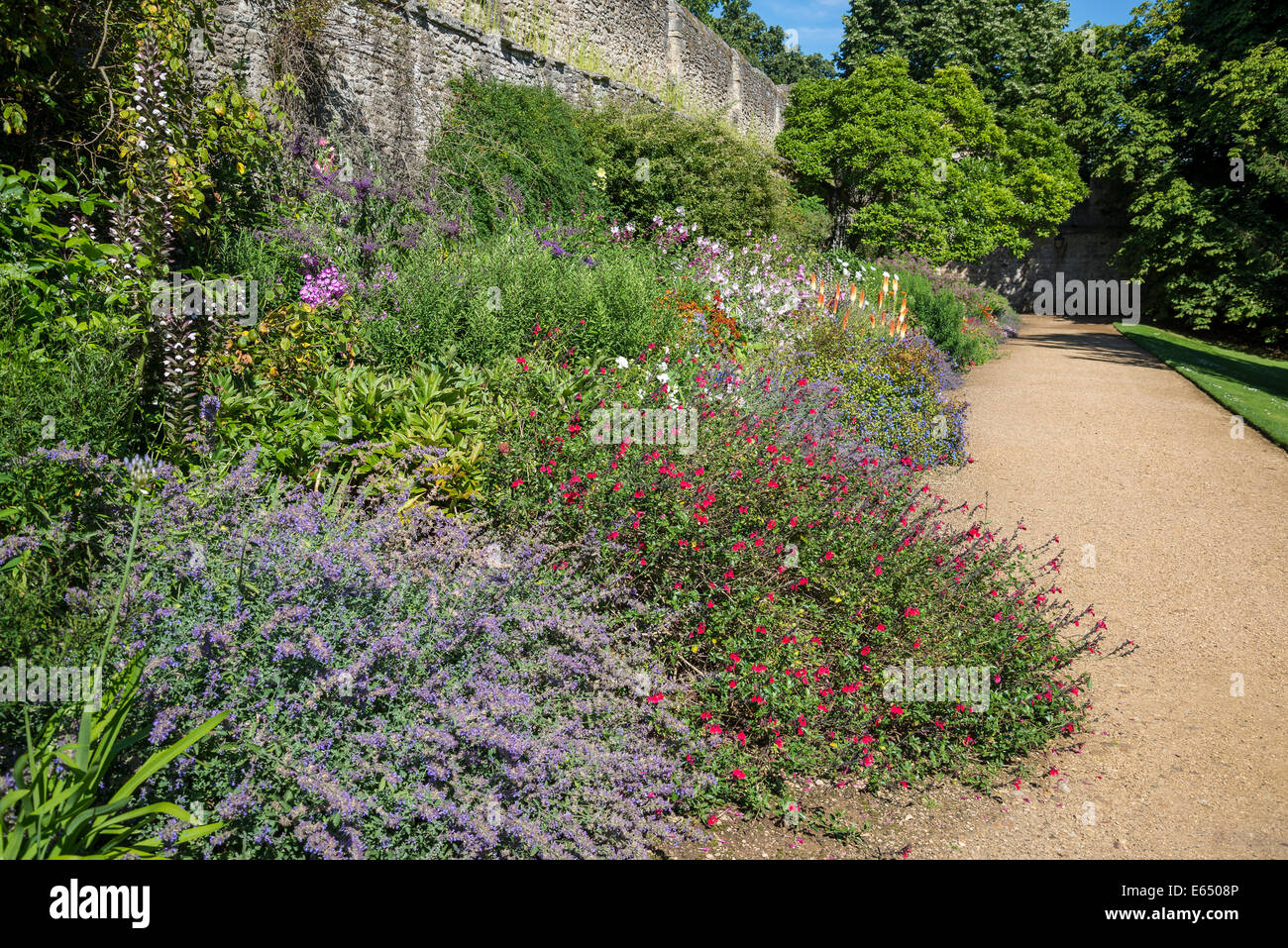 Herbaceous border path hi-res stock photography and images - Alamy