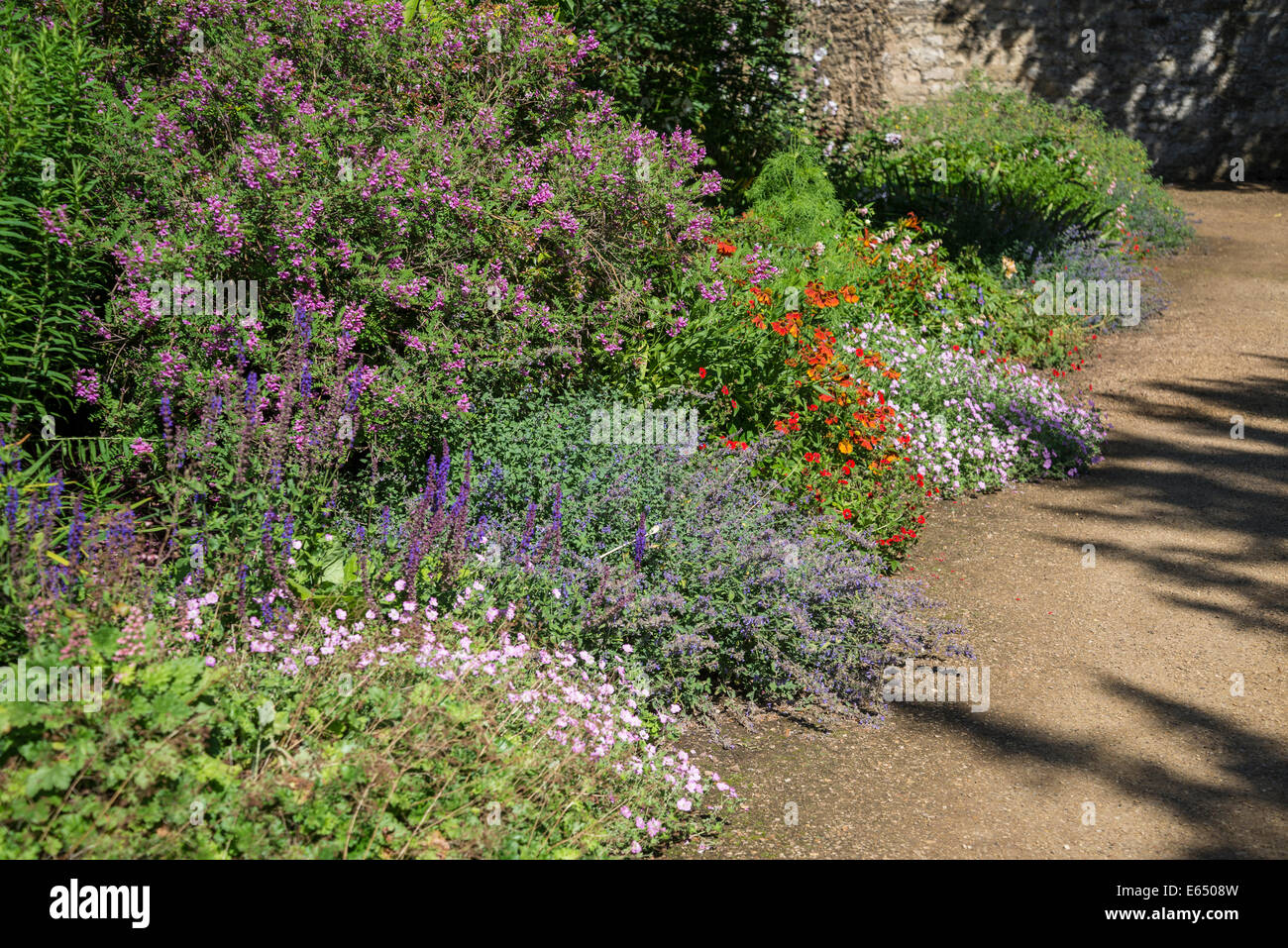 Herbaceous border path hi-res stock photography and images - Alamy