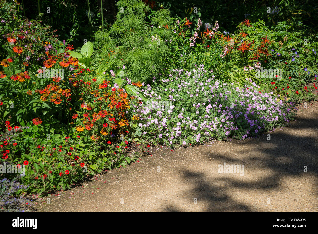 Herbaceous border path hi-res stock photography and images - Alamy